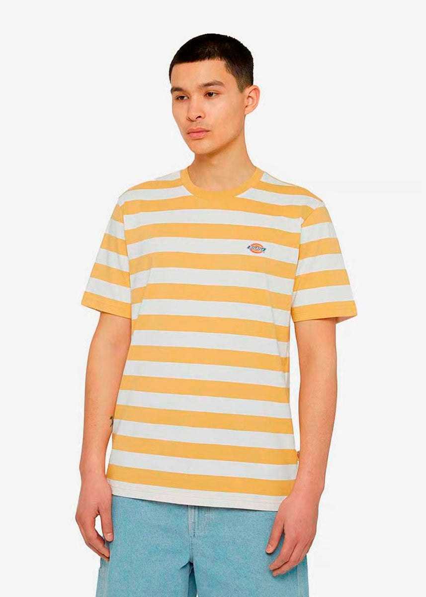 Camiseta Dickies Rivergrove