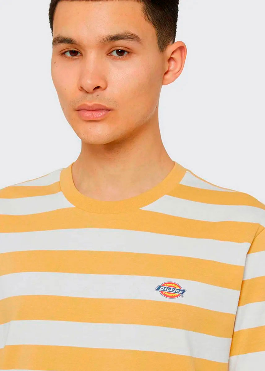 Camiseta Dickies Rivergrove