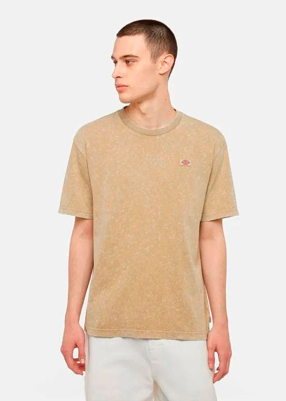 Camiseta Dickies Newington