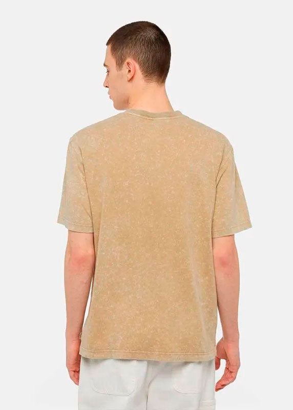 Camiseta Dickies Newington