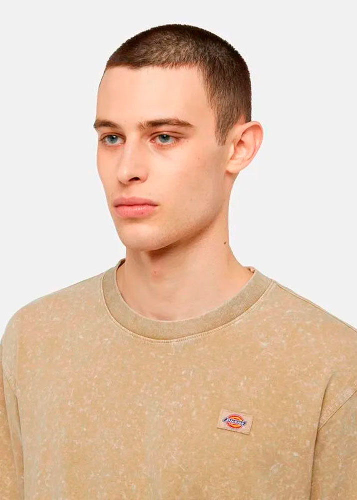 Camiseta Dickies Newington