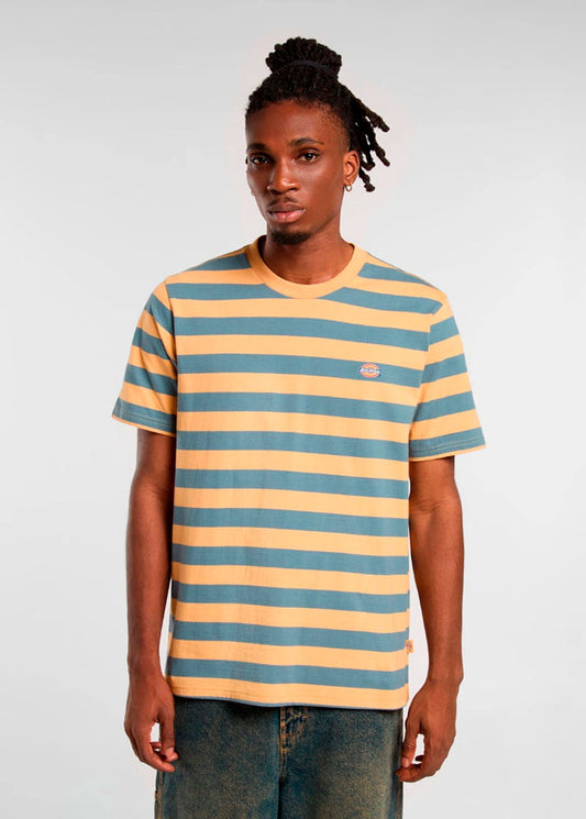 Camiseta Dickies Rivergrove