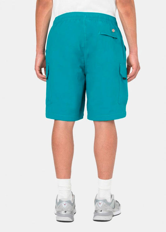 Pantalón Dickies Jackson Cargo